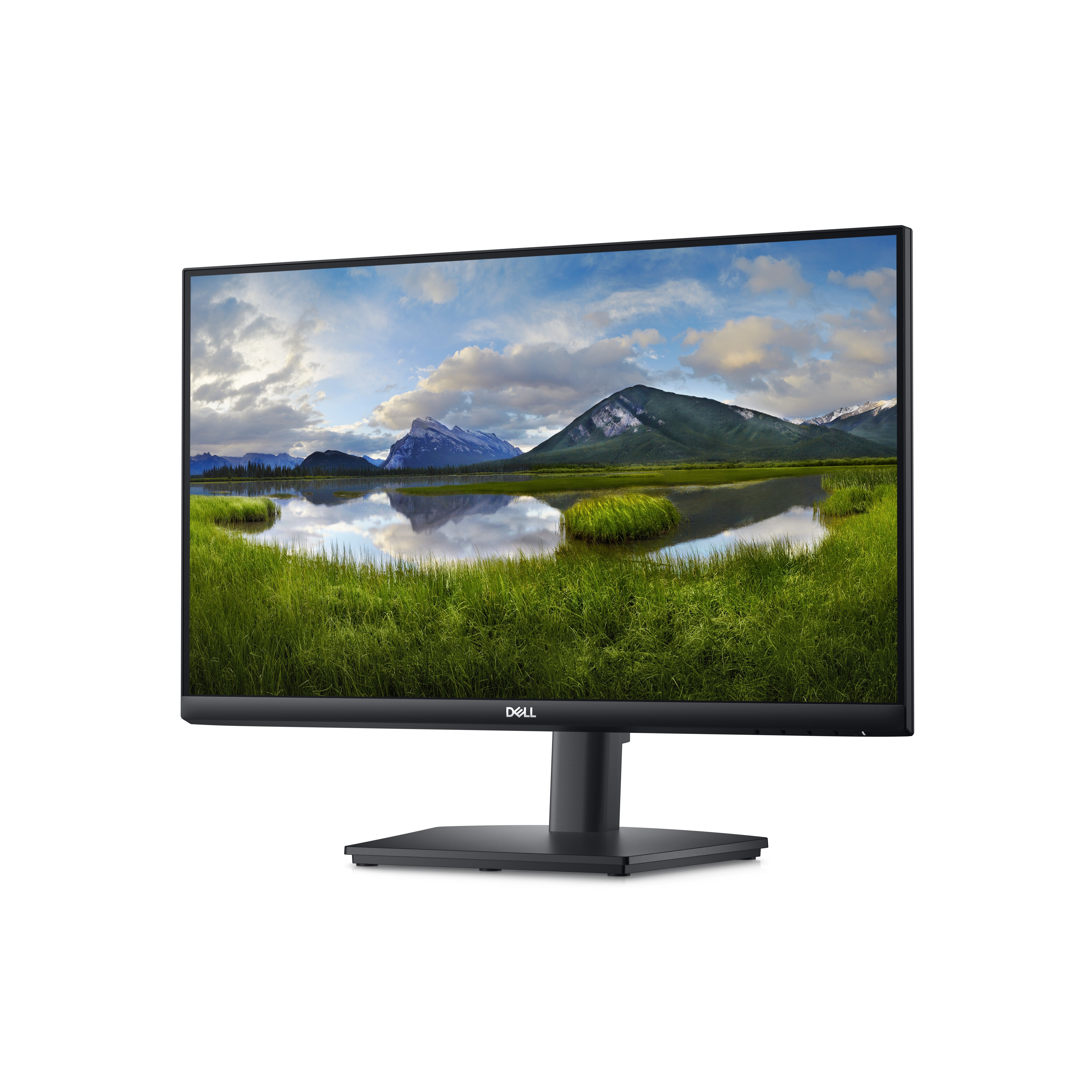 DELL 24 E2424HS