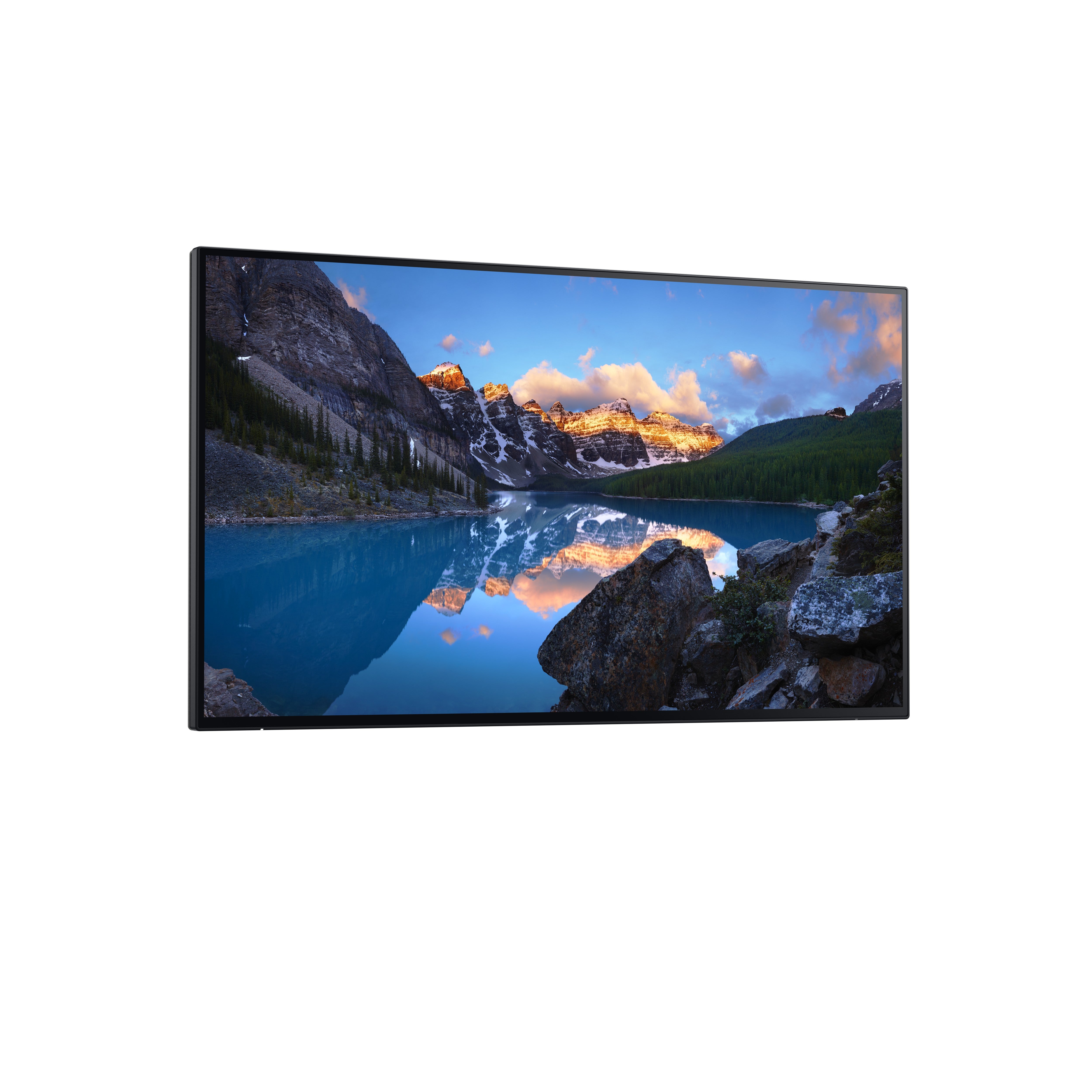 DELL US 24 Monitor U2424H No Stand