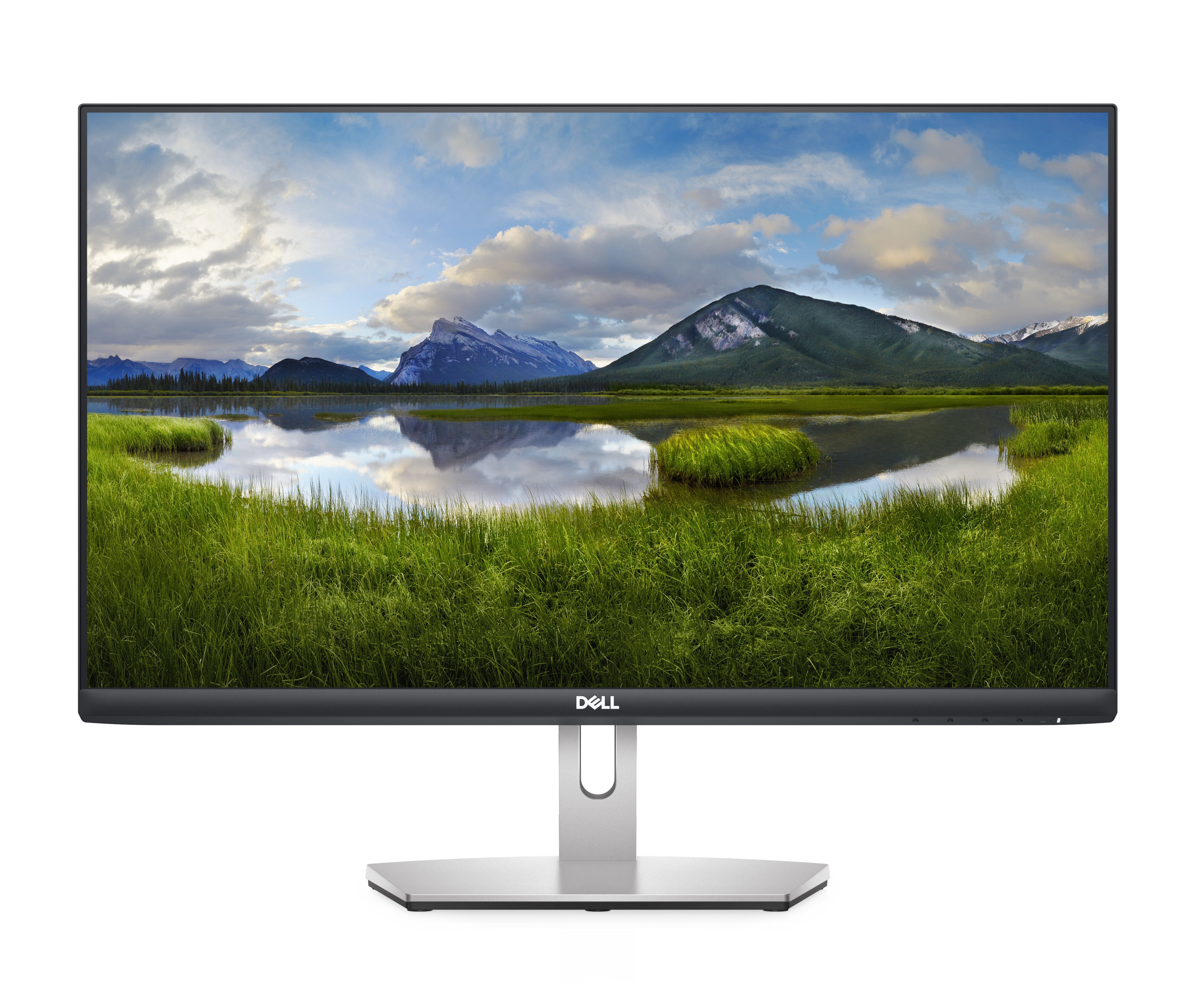 DELL 24 Monitor S2421HN - 60.45cm 23.8in