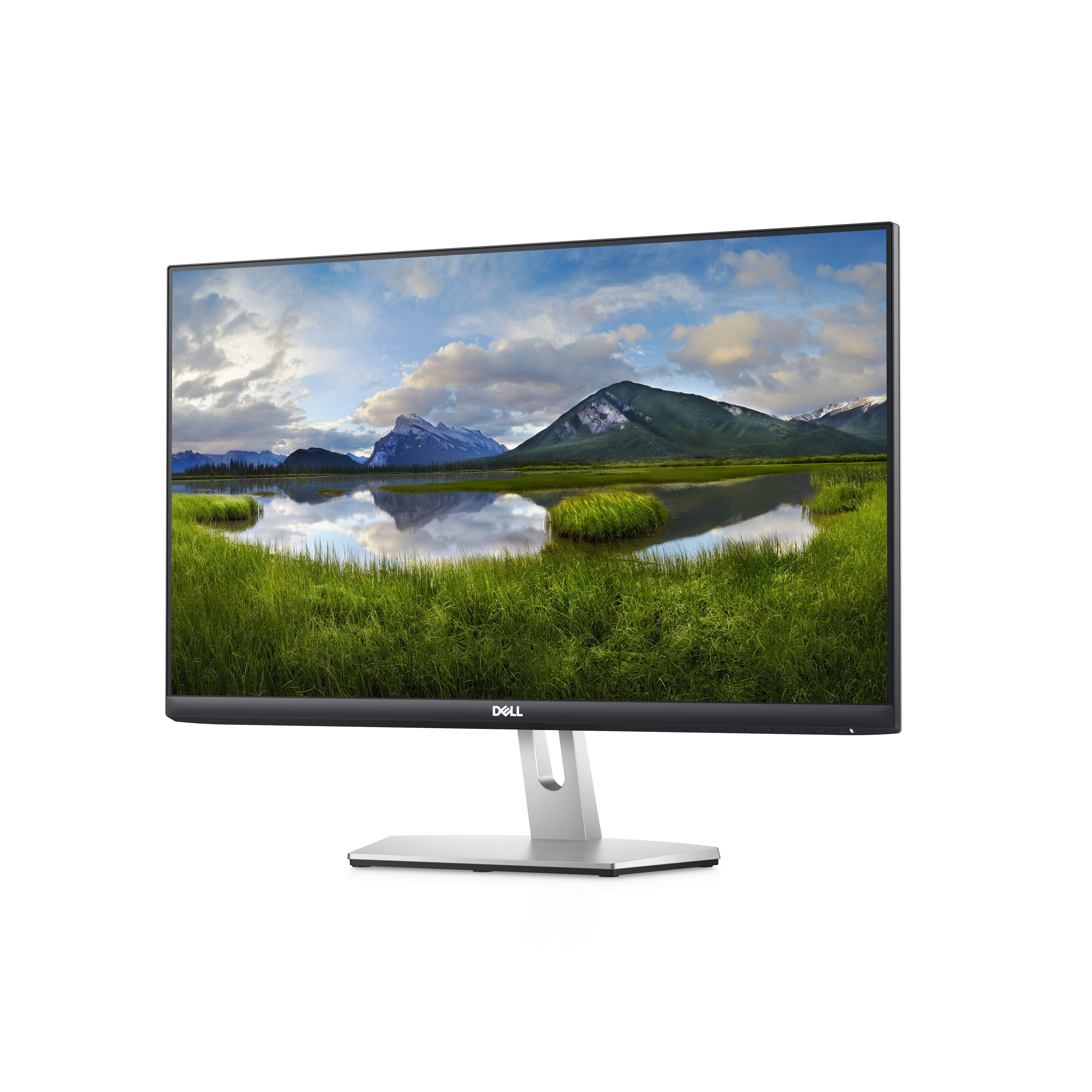 DELL 24 Monitor S2421HN - 60.45cm 23.8in