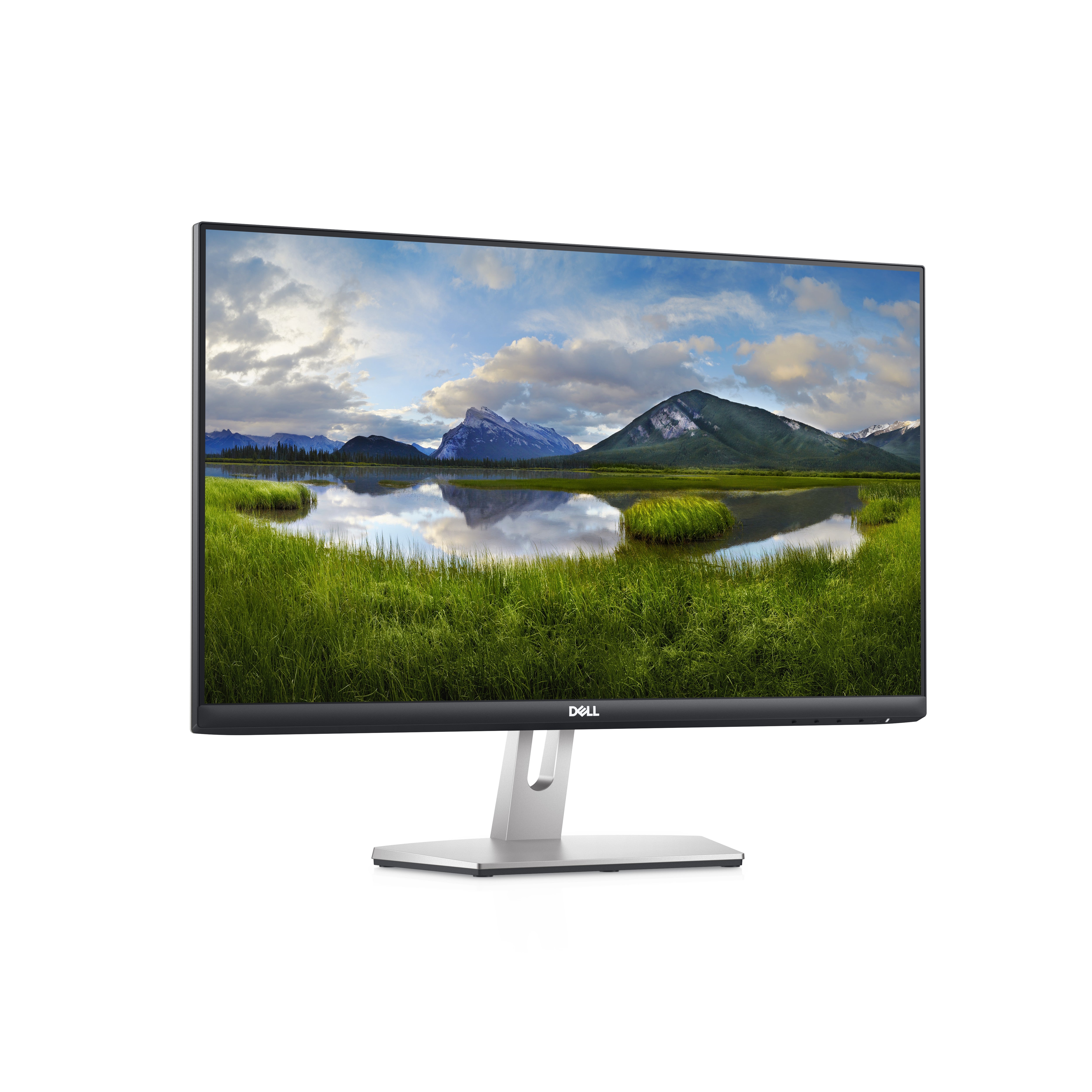 DELL 24 Monitor S2421HN - 60.45cm 23.8in