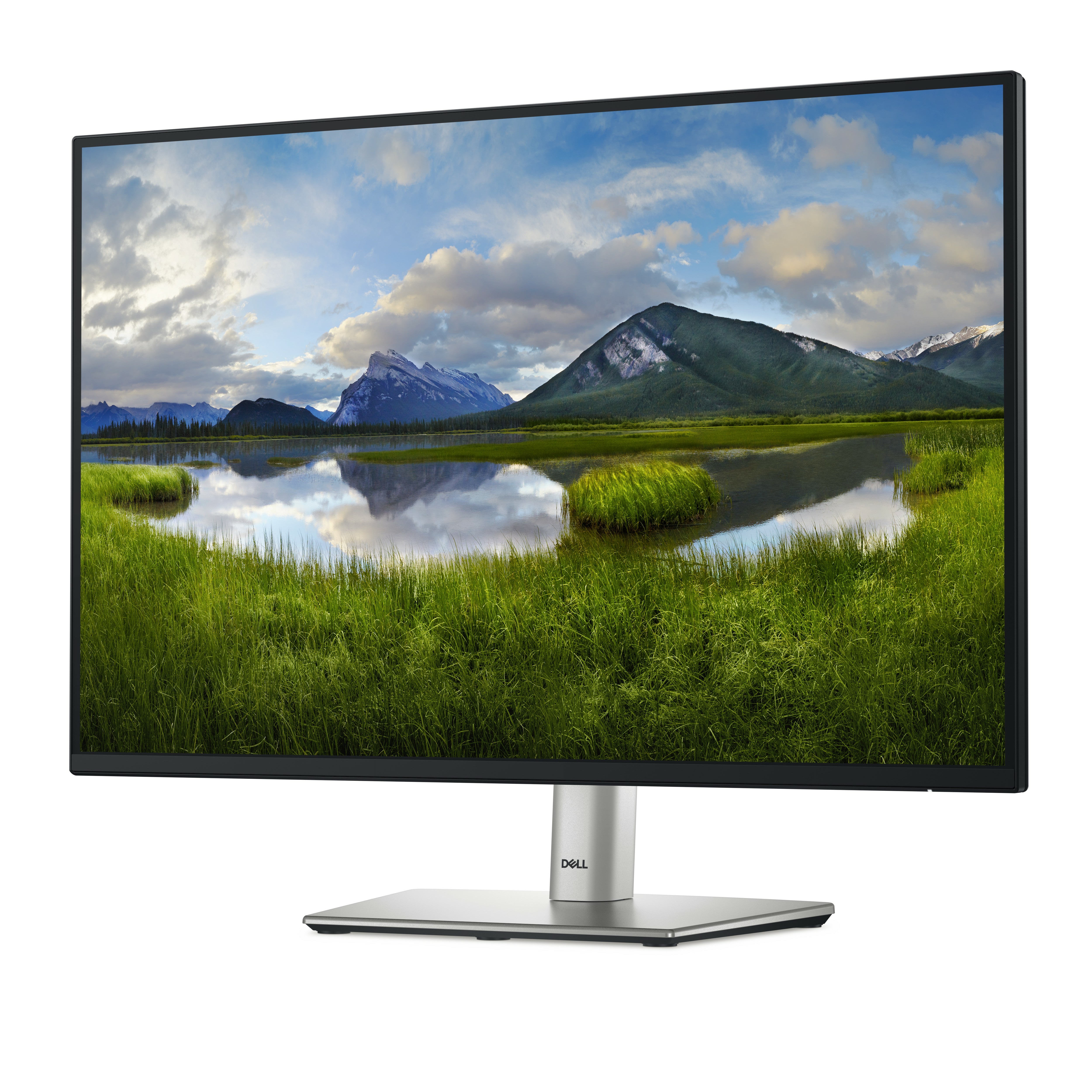 DELL 24 Monitor P2425 24.07inch