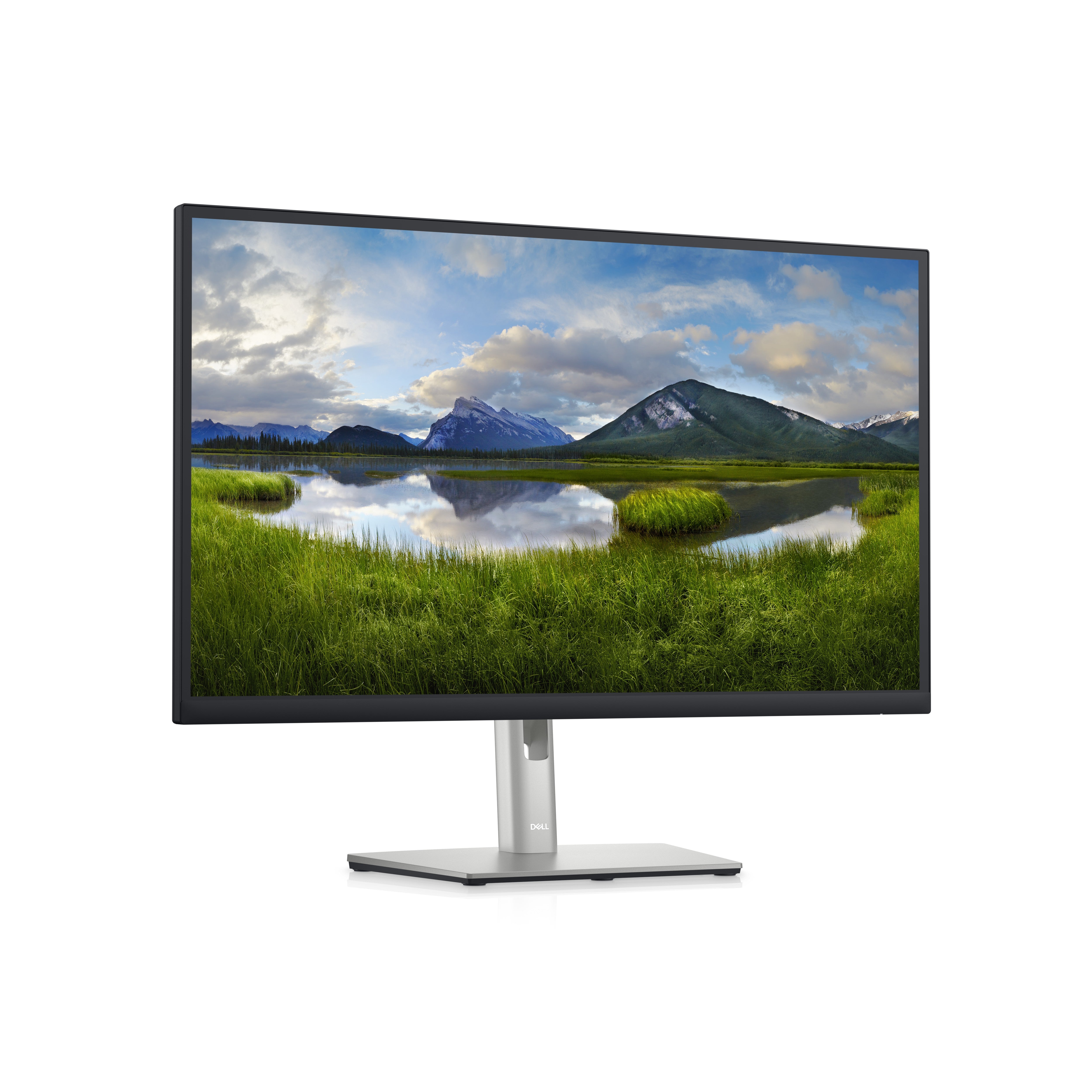 DELL 27 Monitor - P2723D - 27inch