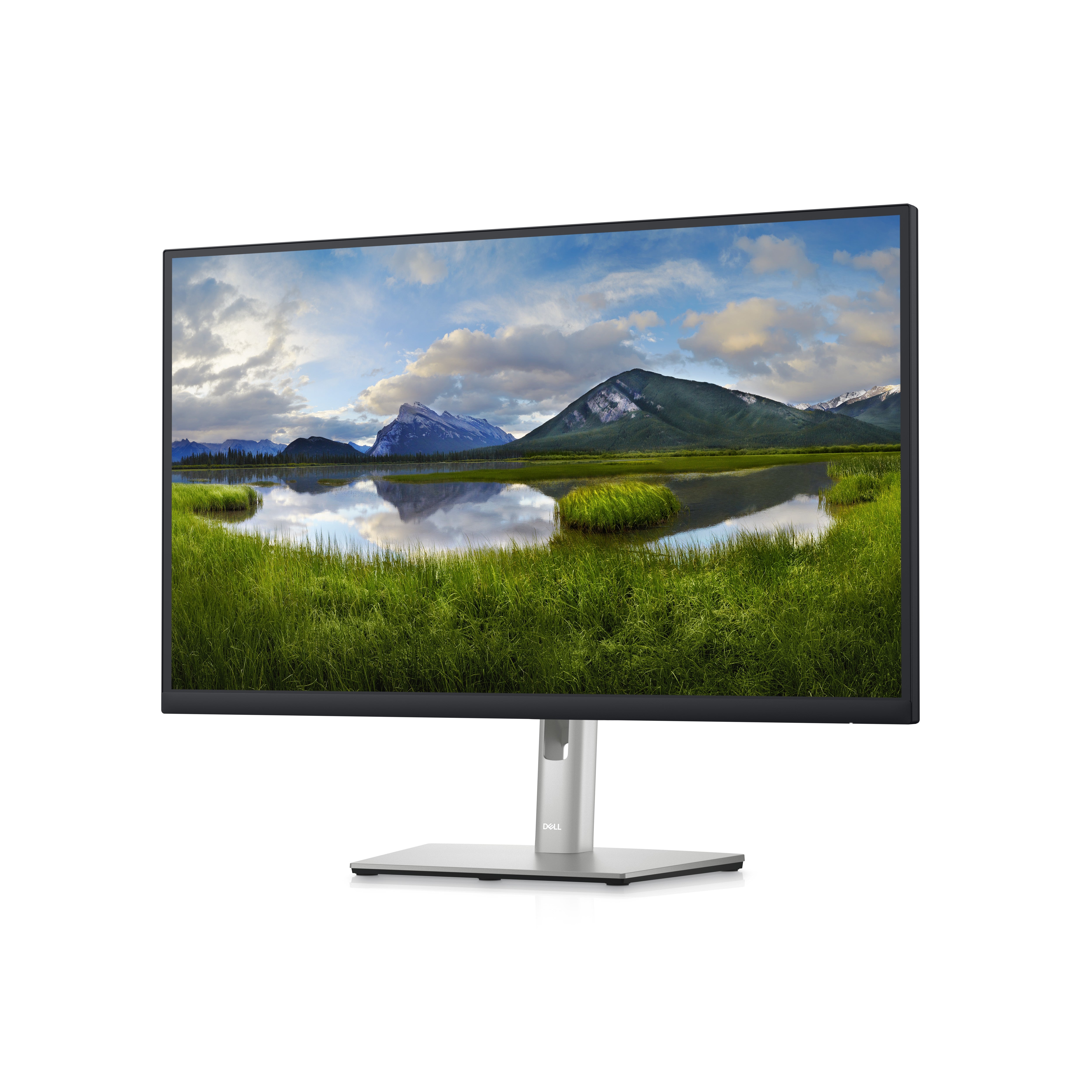 DELL 27 Monitor - P2723D - 27inch