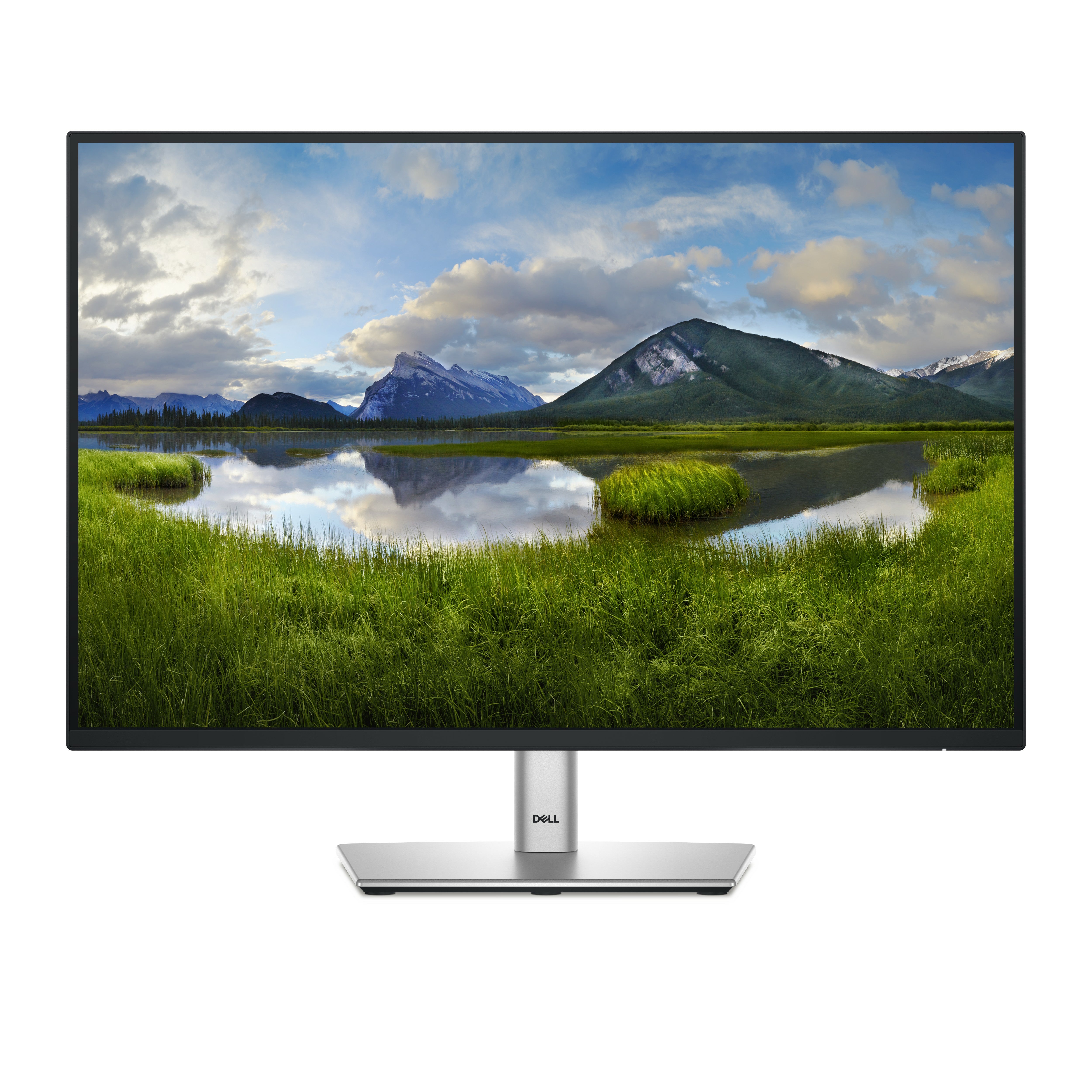 DELL 24 Monitor P2425 24.07inch