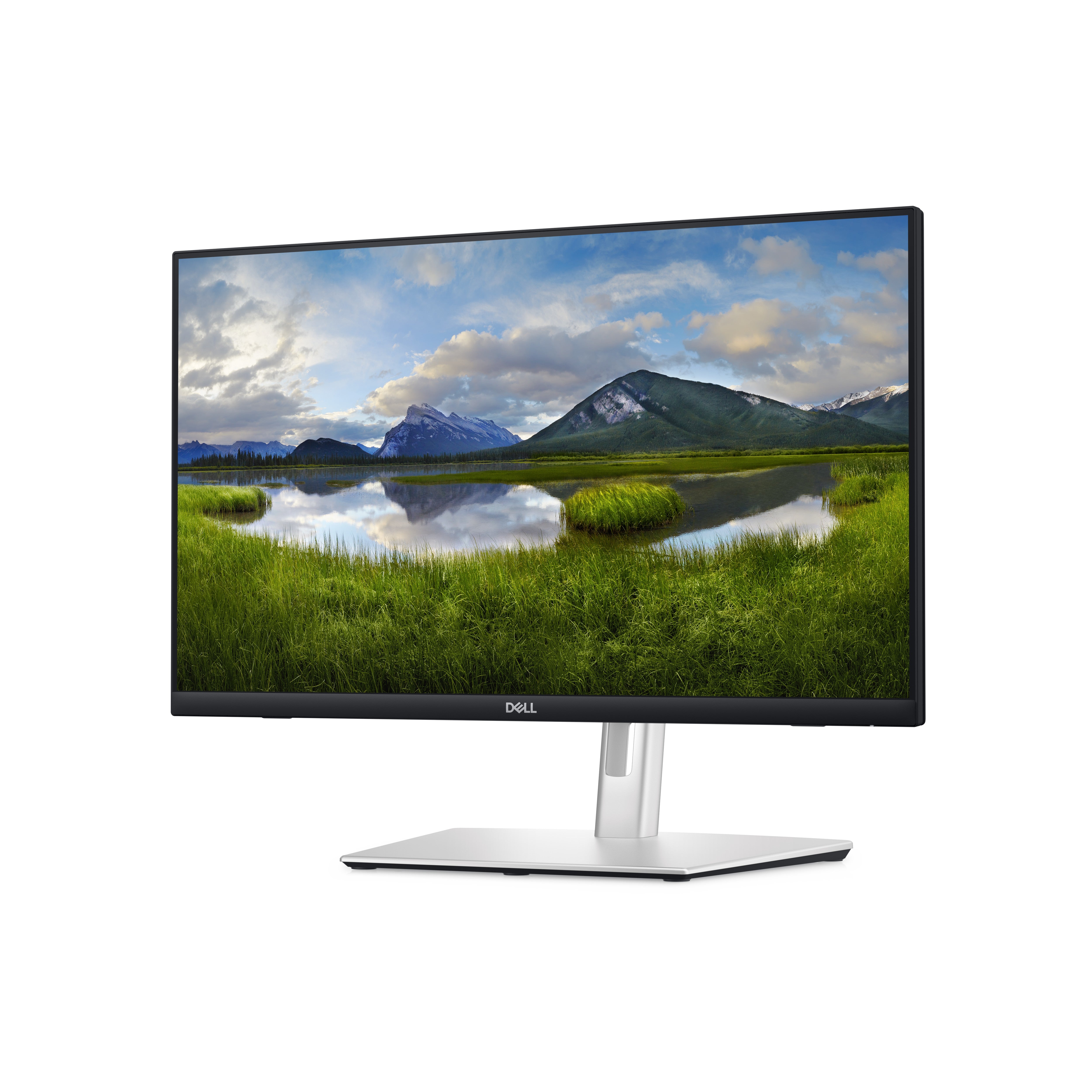 DELL 24 Touch USB-C Hub Monitor P2424HT