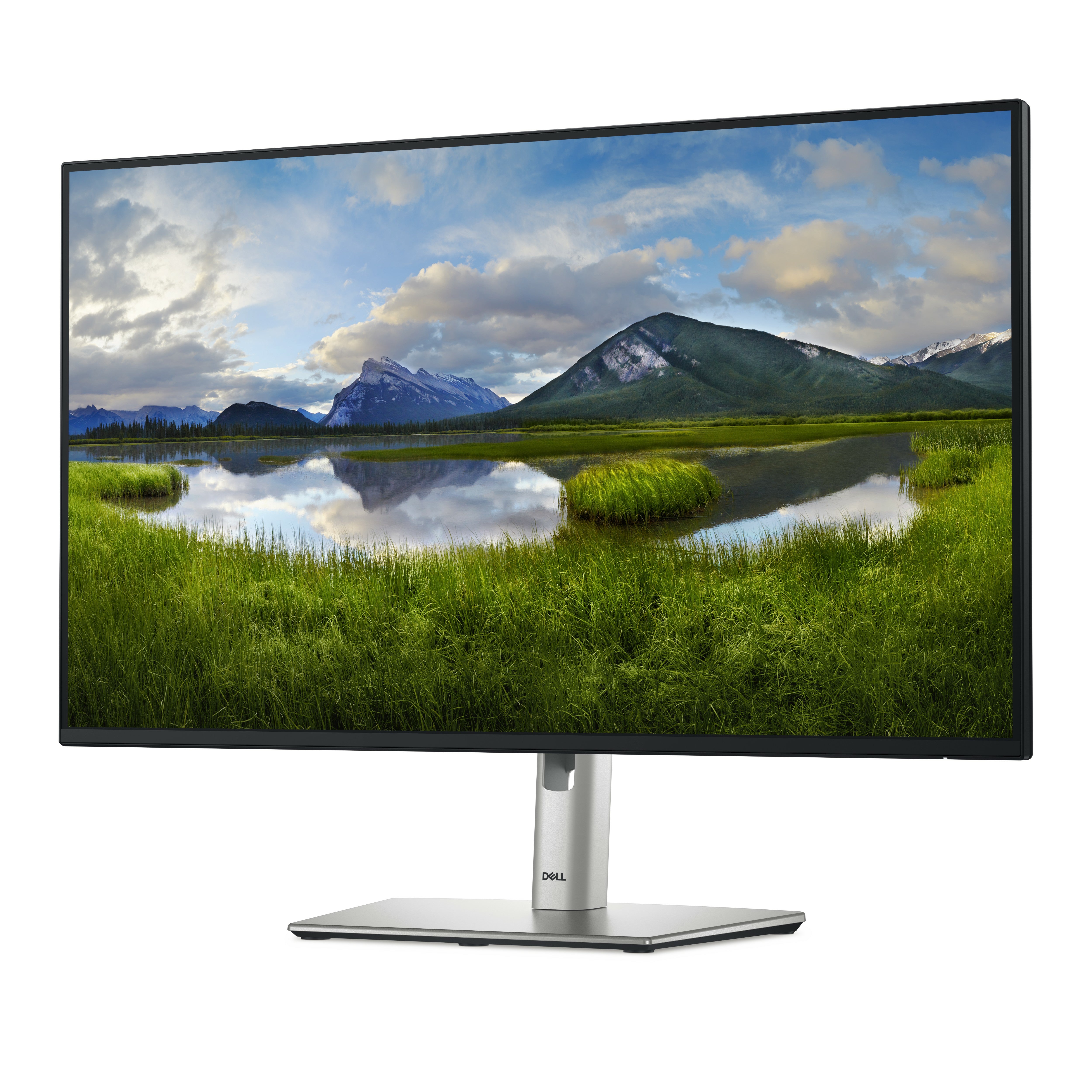 DELL 27 Monitor P2725H 27inch