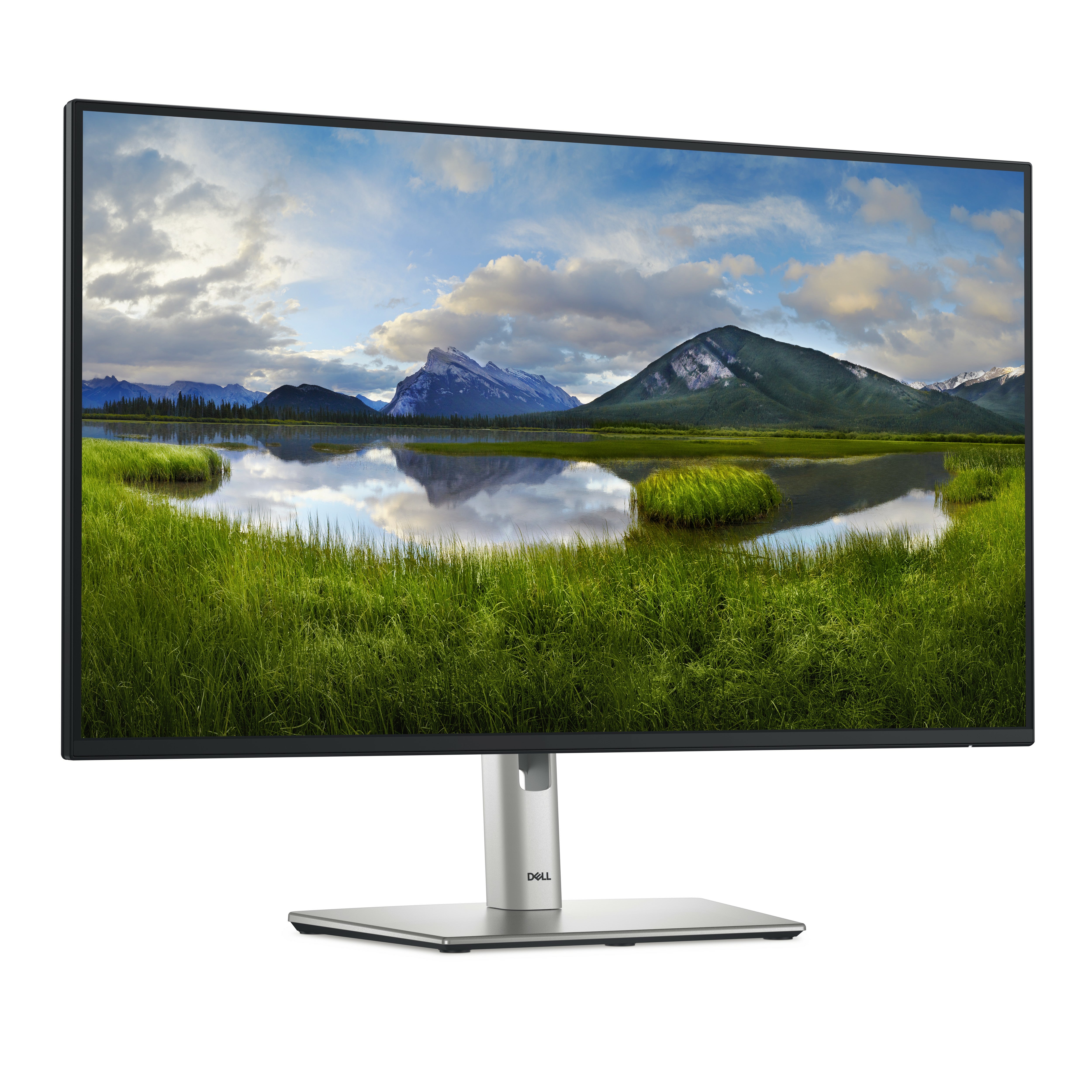 DELL 27 Monitor P2725H 27inch
