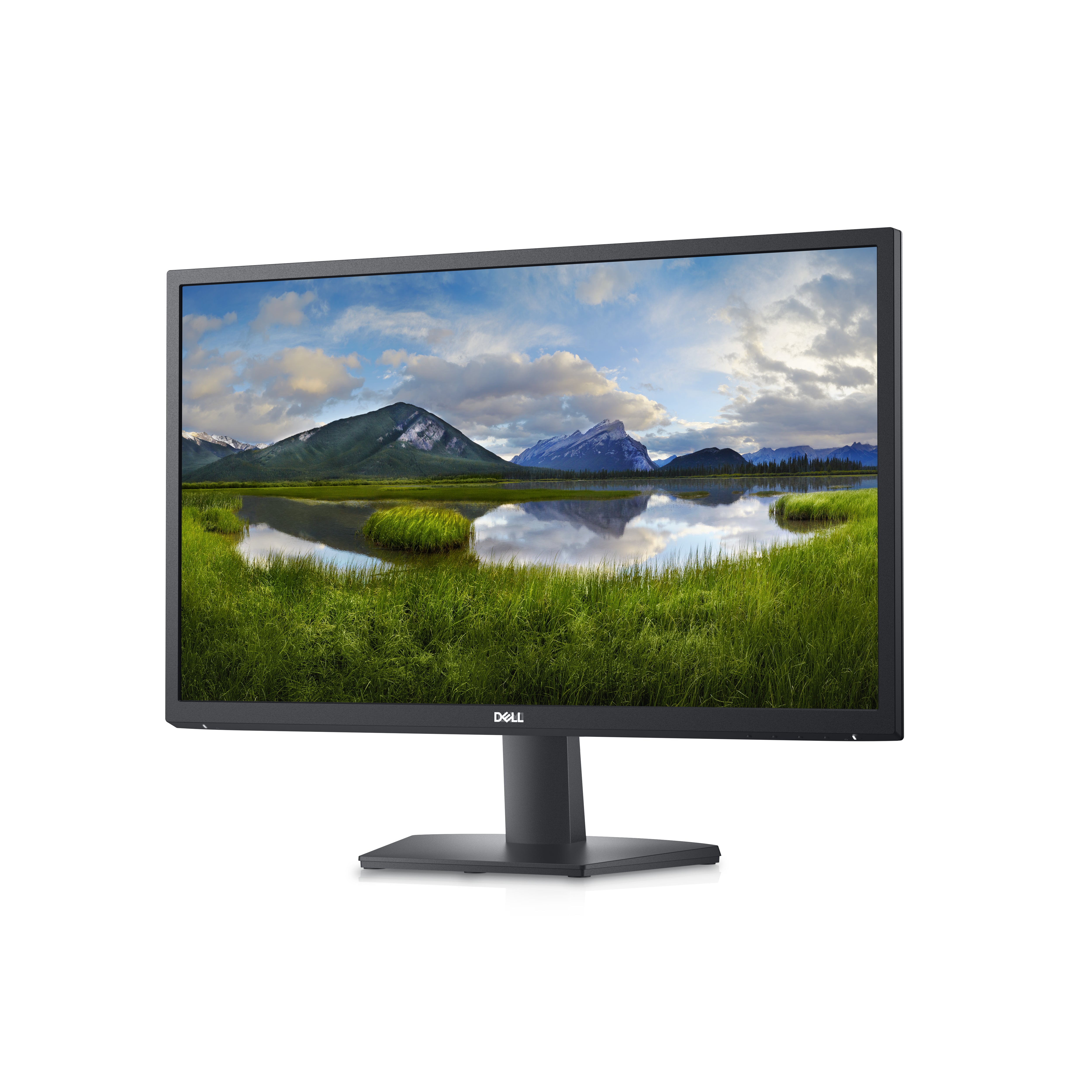 DELL 24 Monitor - SE2422H 23.8inch